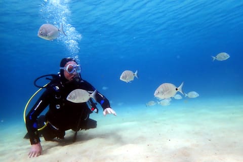 Lanzarote: Kleingruppen-Anfänger-Tauchkurs Costa Teguise