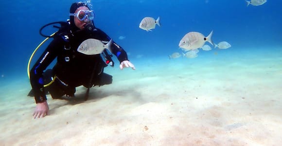 Lanzarote: Small-Group Discover Scuba Diving in Costa Teguise
