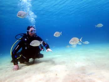 Lanzarote : découverte de la plongée en petit groupe à Costa Teguise