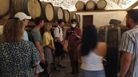 Santorini, Tour privado de vinos con guía de vinos certificada - Housity