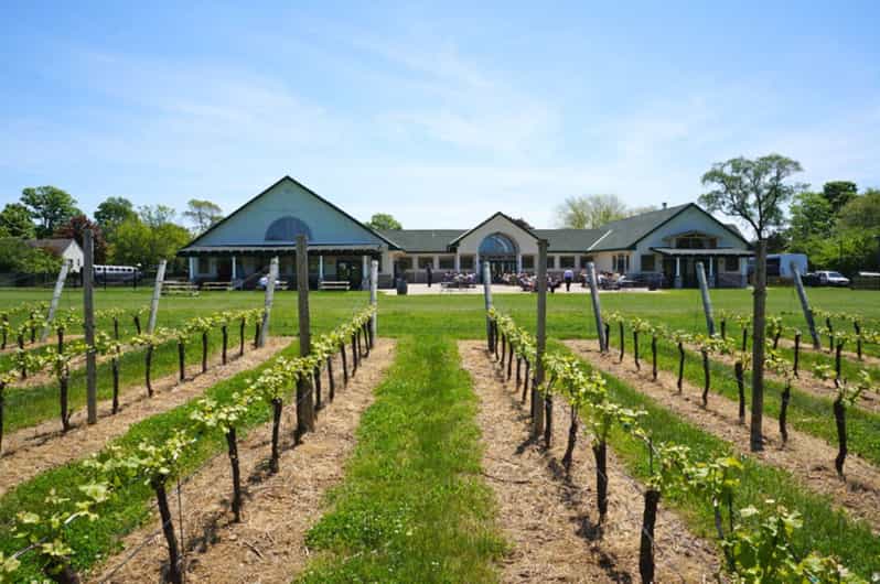 Ronkonkoma North Fork Long Island Wine Tasting and Lunch GetYourGuide
