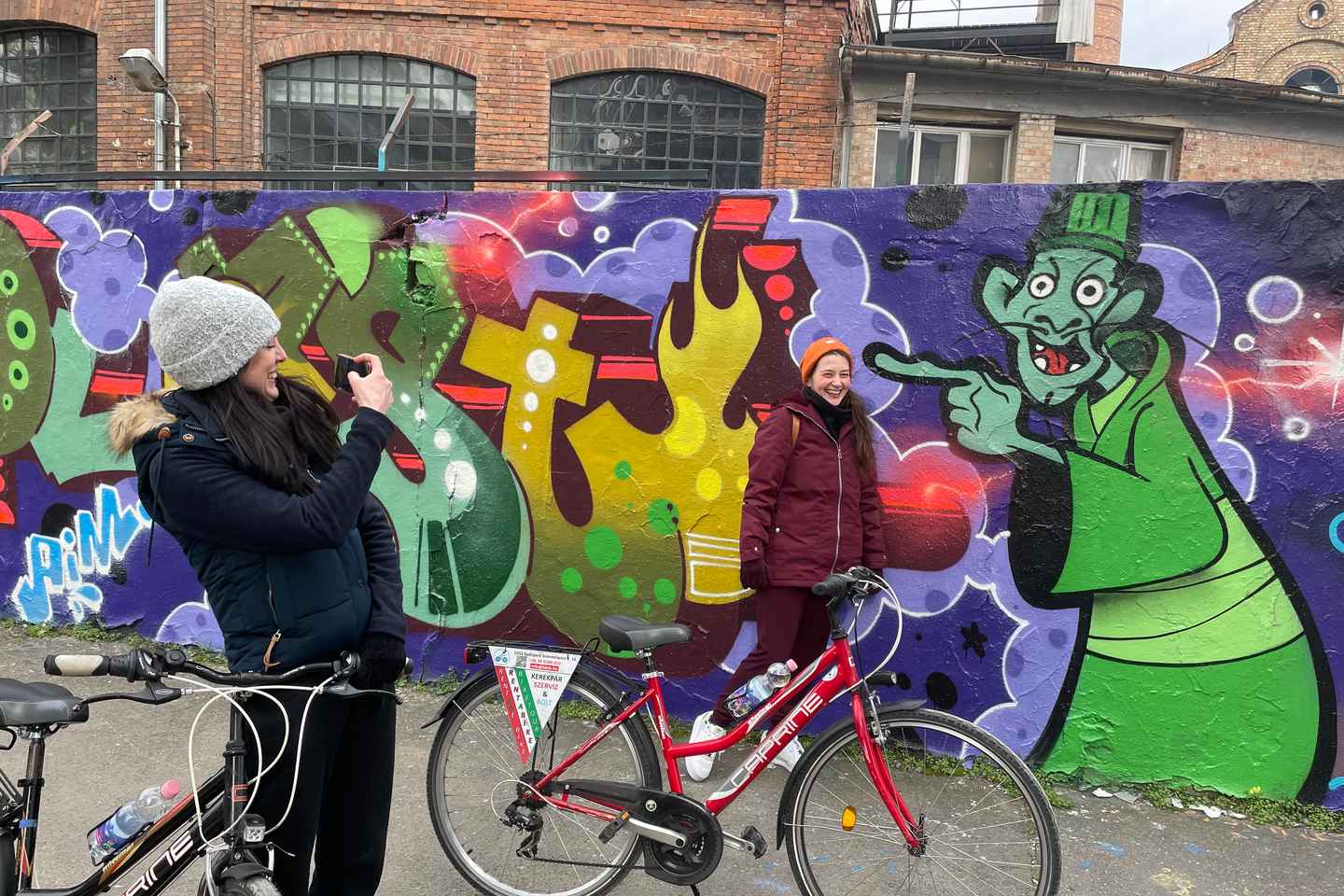 Alternative Bike tour: Graffiti Wall and Peace