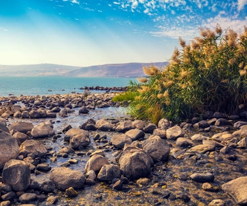 Tel Aviv: dagtrip Galilea, Nazareth, Tabgha en Yardenit