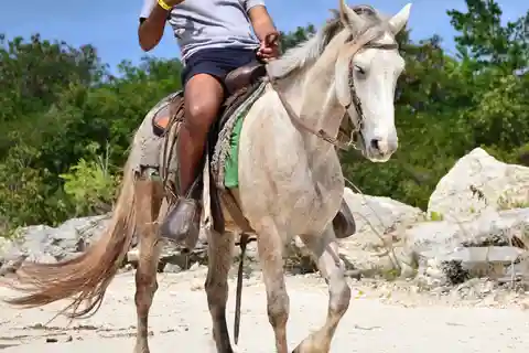 Punta Cana: Bávaro Adventure Park: passeios a cavalo e cachoeiras