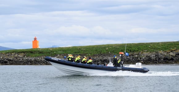 Reykjavik: Puffin Watching Tour by RIB Speedboat