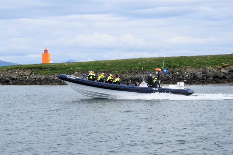 Z Reykjavíku: wycieczka łodzią motorową z obserwacją maskonurów