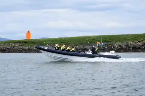 Reykjavik: Tour di osservazione delle pulcinelle di mare in motoscafo RIB