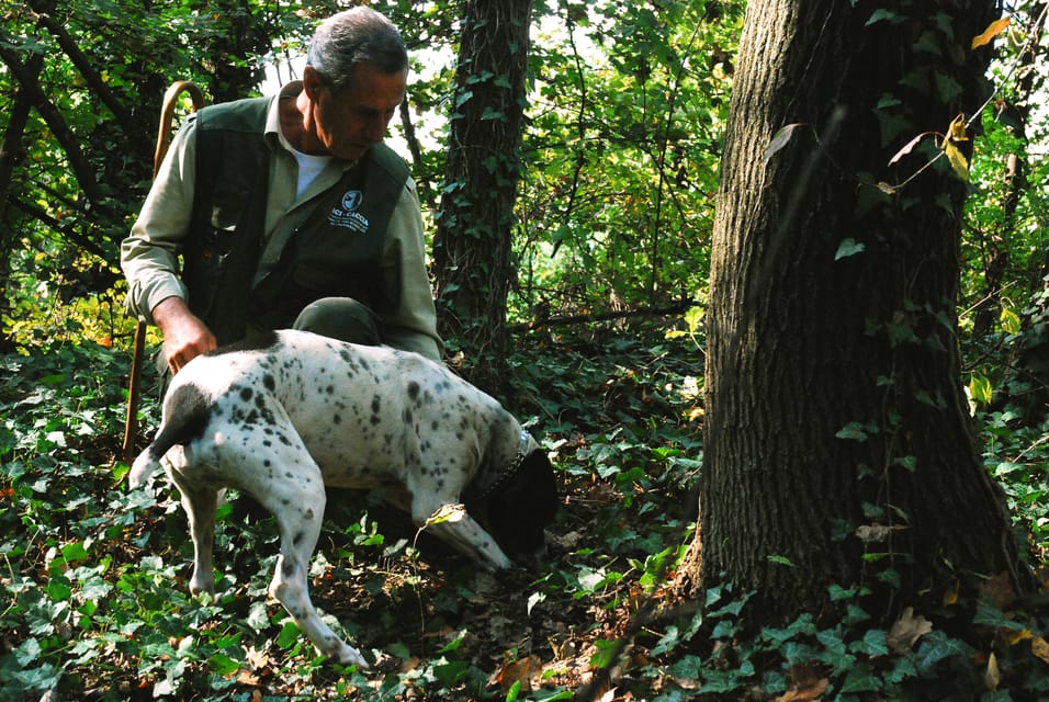 ランゲ：日没時のトリュフ ハンティング ツアー GetYourGuide
