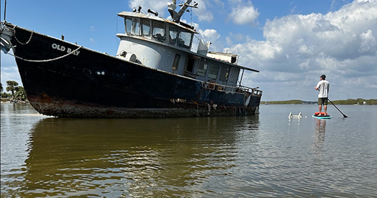 Cocoa Beach Dolphin & Manatee Watching Paddle or Kayak Tour GetYourGuide