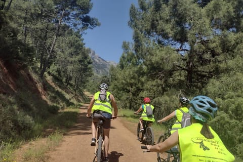 Electric mountain bike in Sierra de las Nieves national park