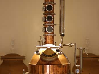 Ischia: Private Distillery Tour and tasting with the Artisan