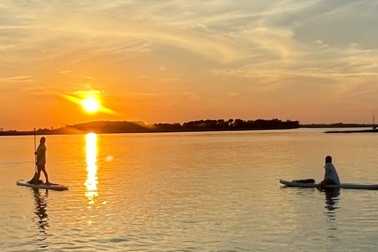 Charleston: Folly Beach Stand Up Paddleboard Dolphin SafariSafari z delfinami na desce do wiosłowania o zachodzie słońca