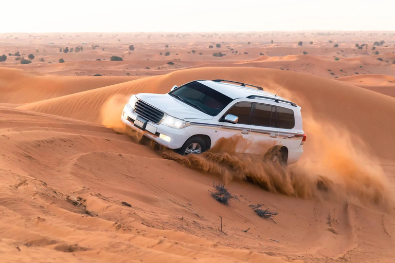 Safari dans le désert de Doha au coucher ou au lever du soleil, balade à dos de chameau, mer intérieureBalade à dos de chameau