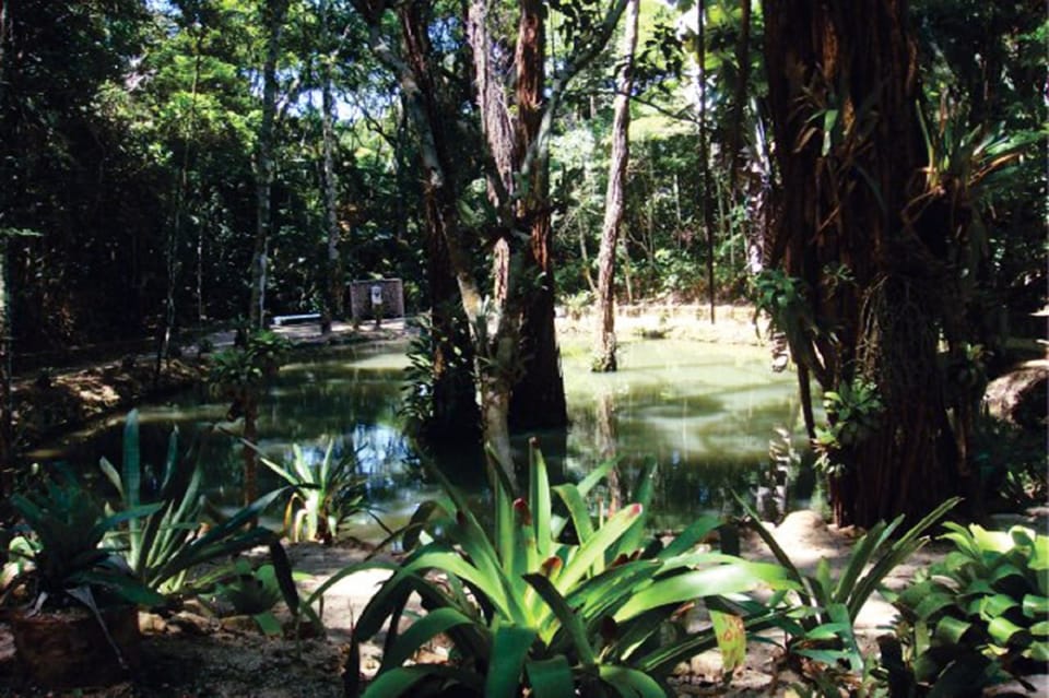 Río de Janeiro EcoTour Parque Nacional de Tijuca GetYourGuide