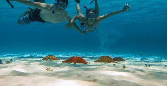 From Cozumel: Palancar, Columbia and El Cielo Reefs Snorkel