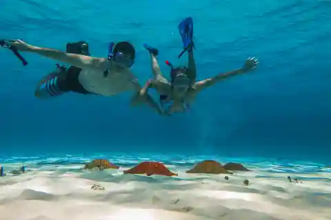 Cozumel: Snorkeling nos recifes Palancar, Columbia e El Cielo