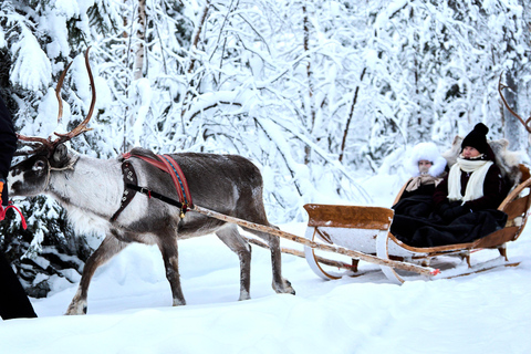 Levi: Reindeer Sleigh Ride 1.5km In Magical Forest