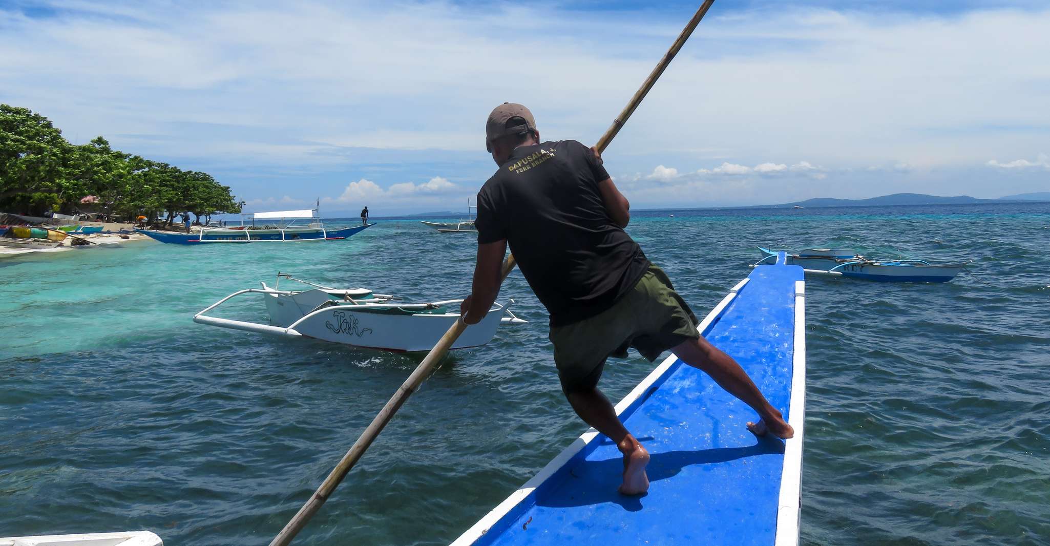 Bohol, Pamilacan Island Dolphin&Turtle Visita y almuerzo - Hizvo