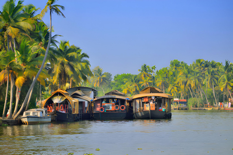 Desde Cochin: Excursión de 4 días a Munnar y Alleppey con casa flotante