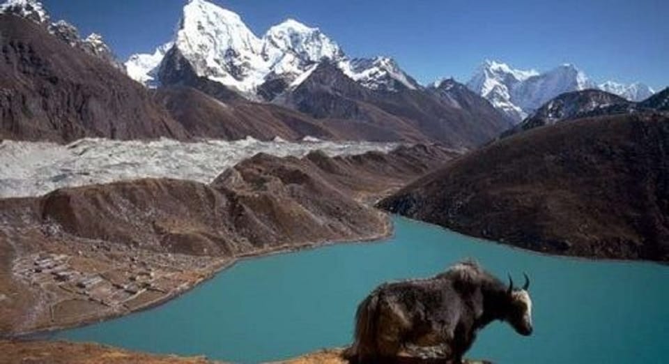 Pokhara 9 jours de randonnée privée dans l Annapurna à Khopra et