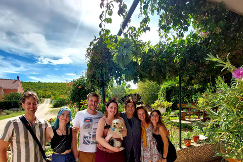 Tour a piedi di Spalato con pranzo presso una famiglia locale