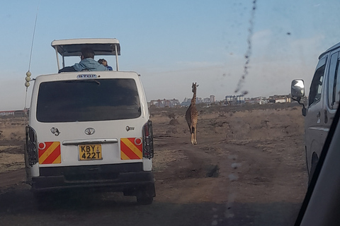 De Nairobi: Safari dans la réserve nationale du Masai Marajomo kenyatta prise en charge gratuite à l'aéroport