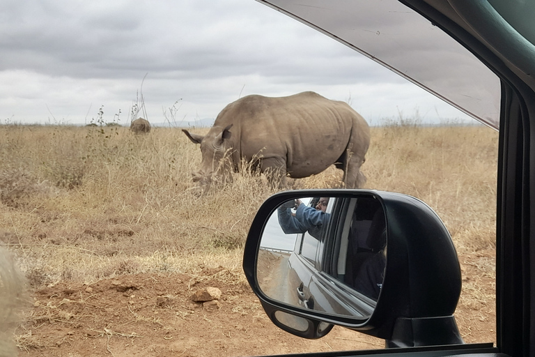 De Nairobi: Safari dans la réserve nationale du Masai Marajomo kenyatta prise en charge gratuite à l'aéroport