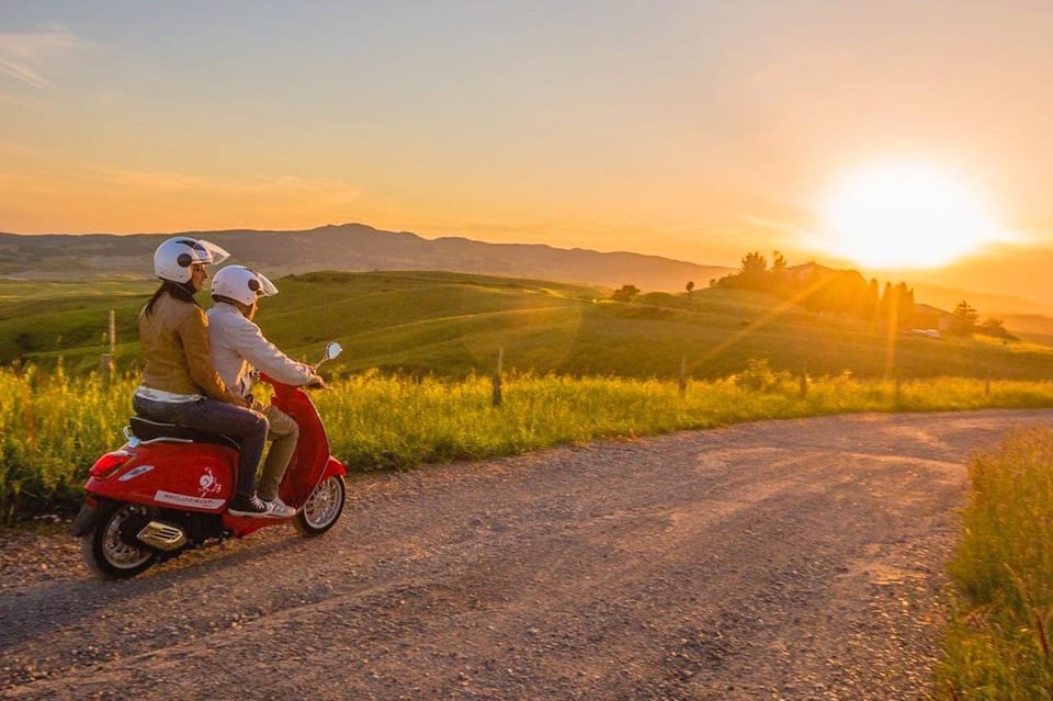 Ulignano Een hele dag truffel zoeken met wijnproeverij GetYourGuide