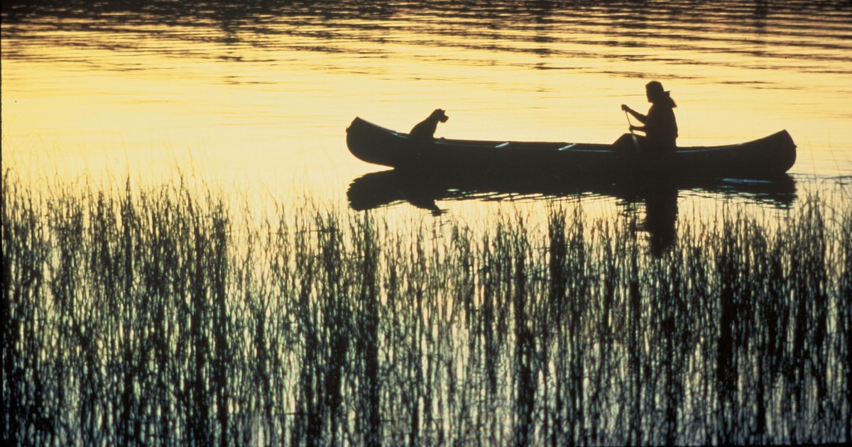 Canoe ride in the Ciane River in Syracuse | GetYourGuide