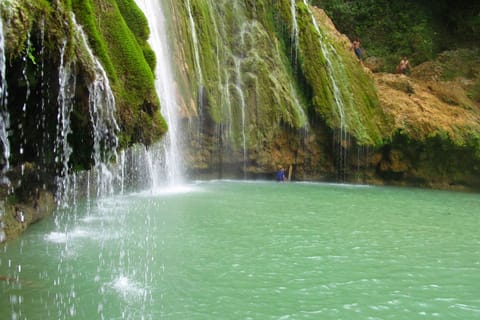 Las Terrenas: El Limón Waterfall Trekking Tour