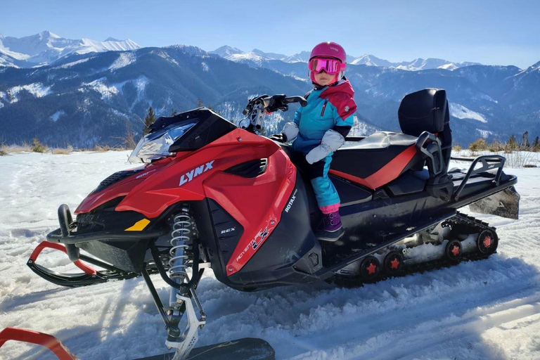 Zakopane Snowmobiles Ride, Bonfire &amp; Transfers from KrakowTwilight Trails: Snowmobiling Under the Stars