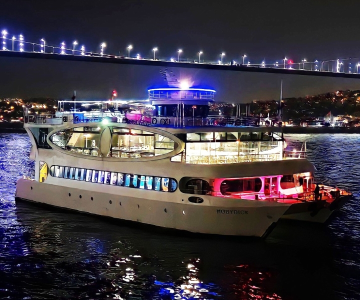 Istanbul: crociera in catamarano di lusso sul Bosforo con cena e spettacolo