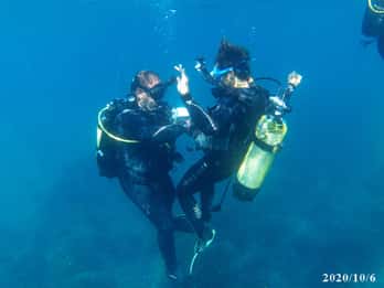 Alicante: Esperienza di immersione subacquea per principianti a Denia