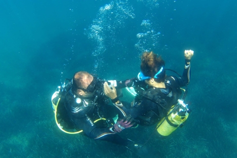Denia Scuba diving