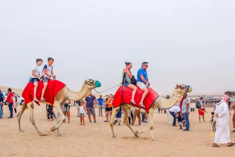Dubai Sunrise Desert Camel Trek with Breakfast