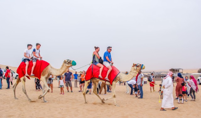 Dubai: kamelentrek in de woestijn bij zonsopgang met ontbijt
