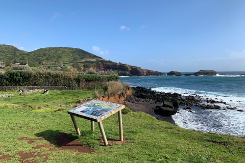 Terceira: schilderachtige wandeltocht over eilandpaden met transferMistérios Negros-wandelpad