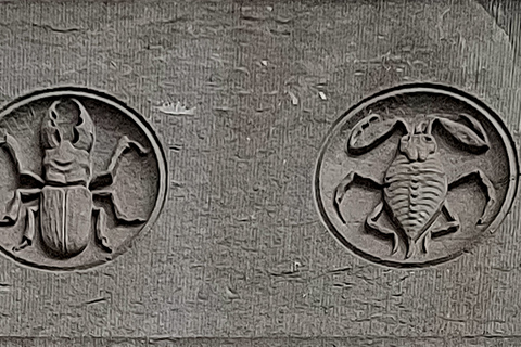 بروكسل: جولة إرشادية في سقوط وصعود الفن الحديثCaída y Auge del Art-Nouveau (بالإسبانية - الإسبانية)