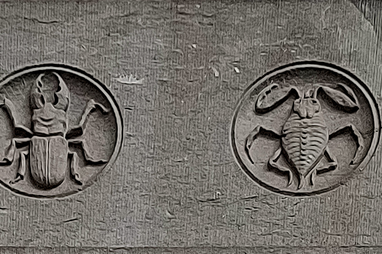 بروكسل: جولة إرشادية في سقوط وصعود الفن الحديثCaída y Auge del Art-Nouveau (بالإسبانية - الإسبانية)