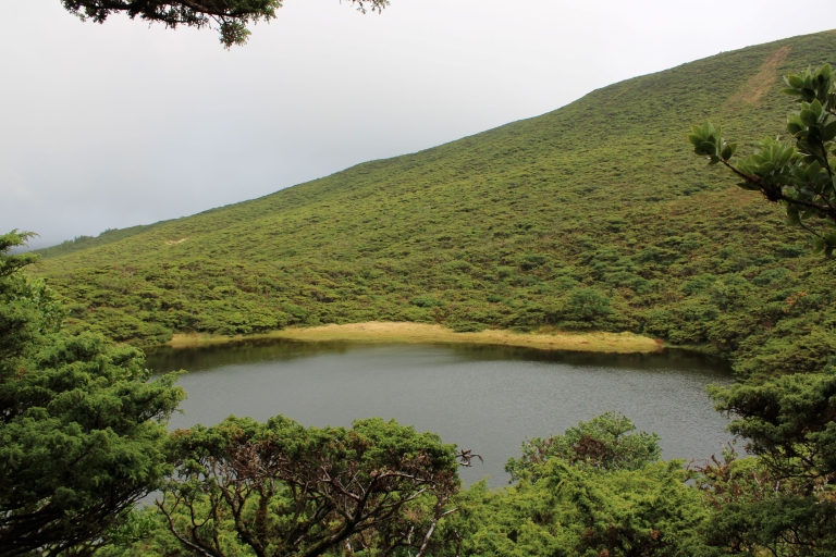 Terceira: schilderachtige wandeltocht over eilandpaden met transferBaaien van Agualva Walking Trail
