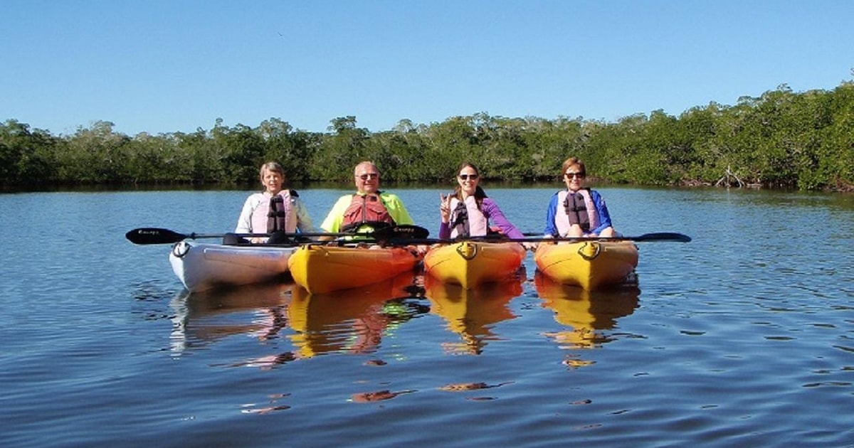 Fort Myers 1 Hour Guided Kayak or SUP Tour in Pelican Bay GetYourGuide