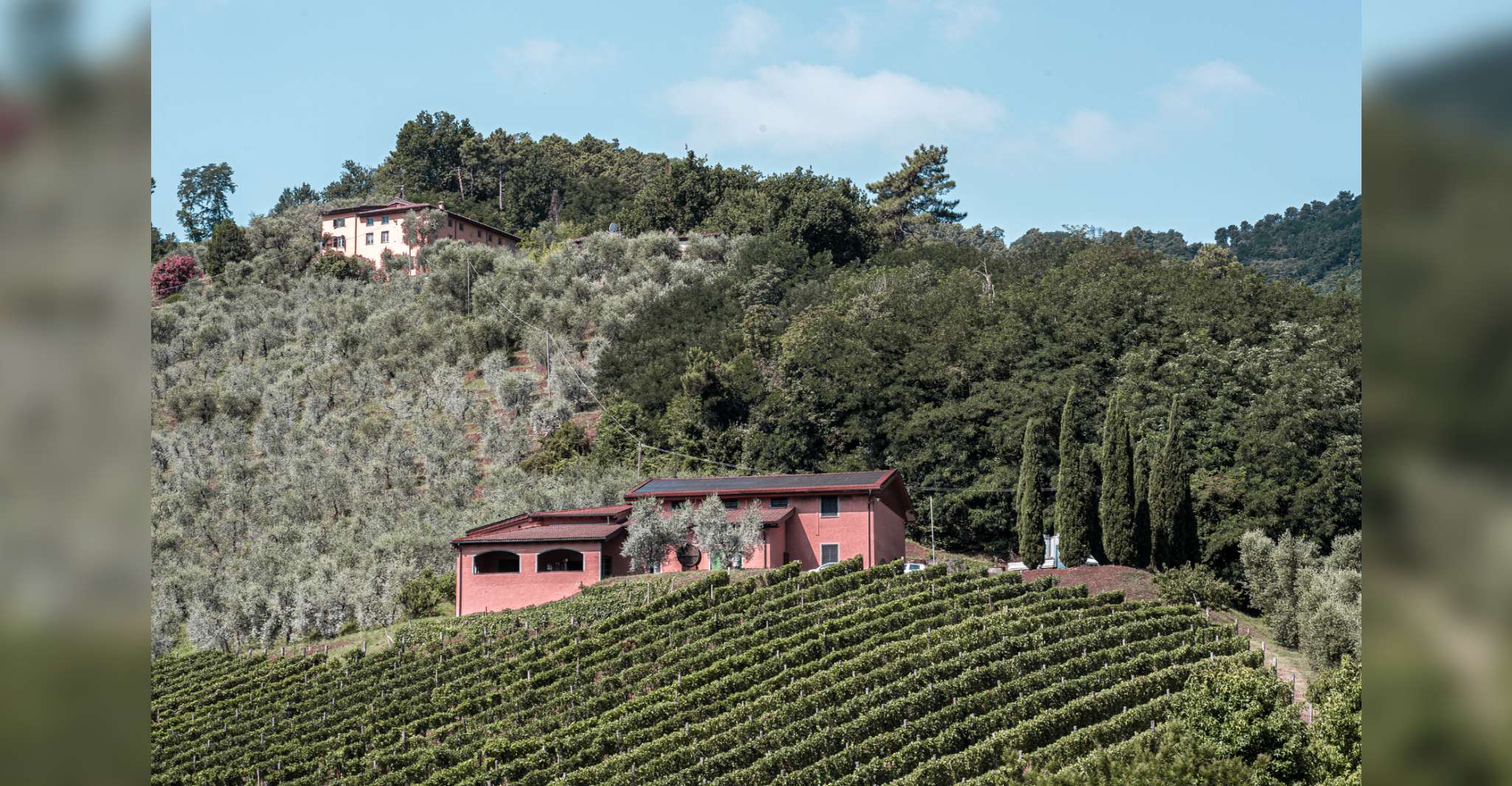 Lucca, Guided Winery Tour with Wine Tasting - Housity