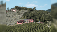 Lucca, Guided Winery Tour with Wine Tasting - Housity