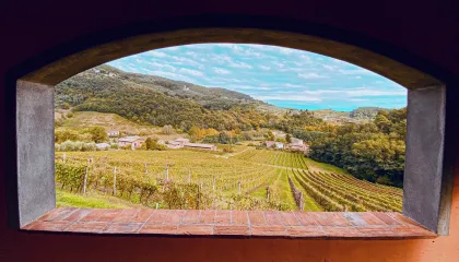 Lucca: Geführte Weinkellertour mit Weinverkostung