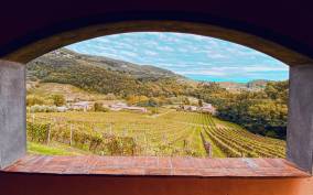 Lucca: Guided Winery Tour with Wine Tasting