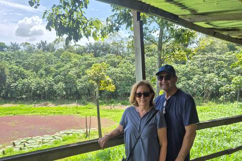 Manaus: Private Amazon Sunset and Night Tour by Speedboat