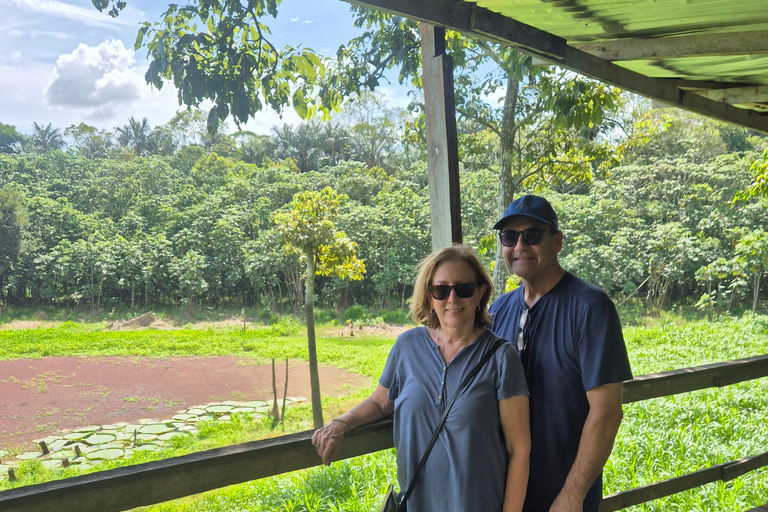 Manaus: Private Amazon Sunset and Night Tour by Speedboat