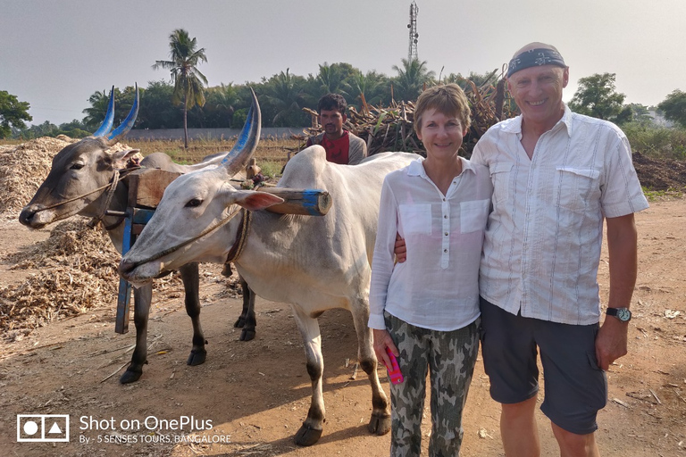 Från Bangalore: Dagstur till Somnathpur och Talakadu med lunch