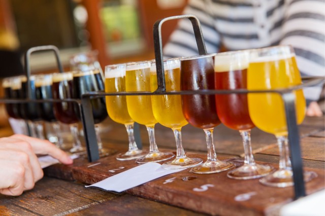 Visit Asheville Guided Craft Brewery Tour with a Snack in Asheville, North Carolina