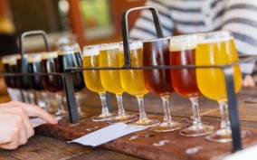 Asheville: Guided Craft Brewery Tour with a Snack